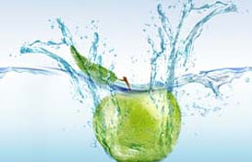 Коллекция фартуков "Овощи, фрукты, ягоды" frukti.jpg